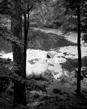 minerva_deak_f_c12_603_005