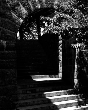 minerva_deak_f_c13_466-0007