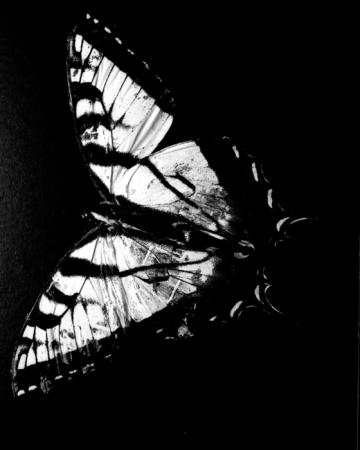 minerva_deak_f_c13_474-0001