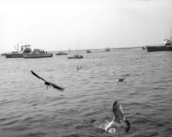 minerva_deak_f_c13_499-514-0016