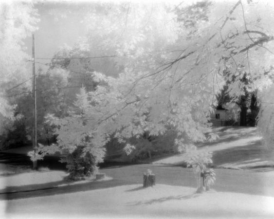 minerva_deak_f_c15_529-002