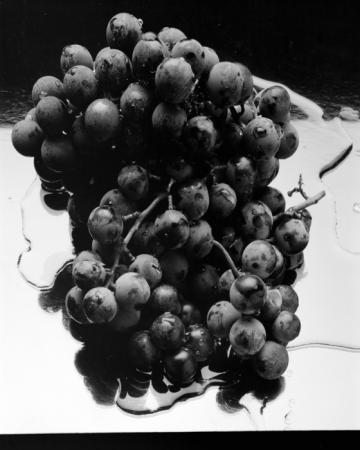 minerva_deak_f_c15_541-001