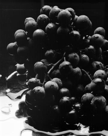 minerva_deak_f_c15_542-001