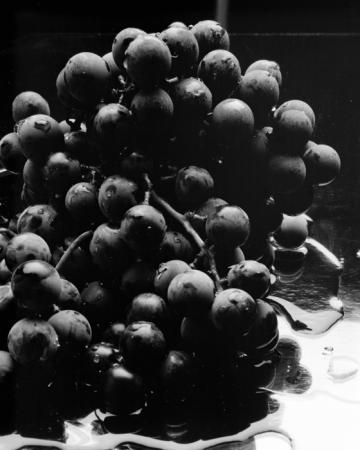 minerva_deak_f_c15_543-001