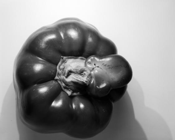 minerva_deak_f_c16_610-007