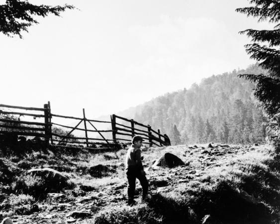 minerva_deak_f_c16_611-002