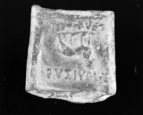 minerva_deak_f_c17-008