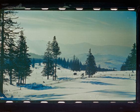 minerva_deak_f_c18-054