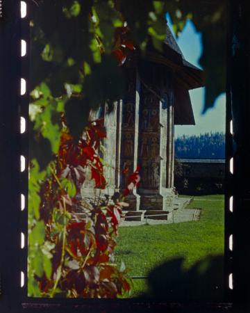 minerva_deak_f_c18-059