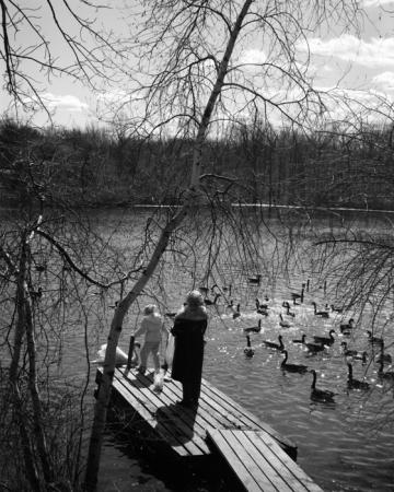 minerva_deak_f_c19-044