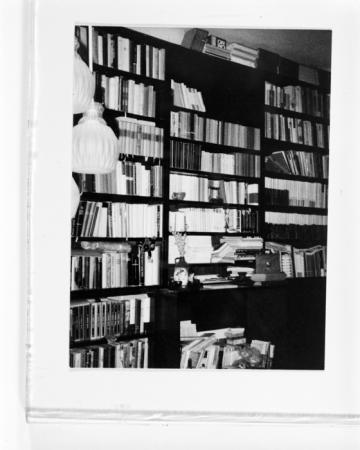 minerva_deak_f_c19-049