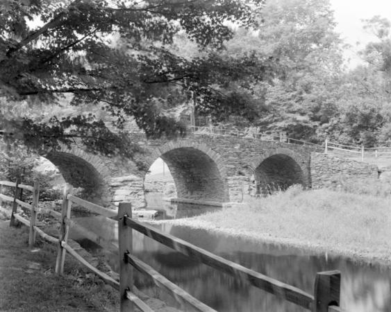 minerva_deak_f_c19-080