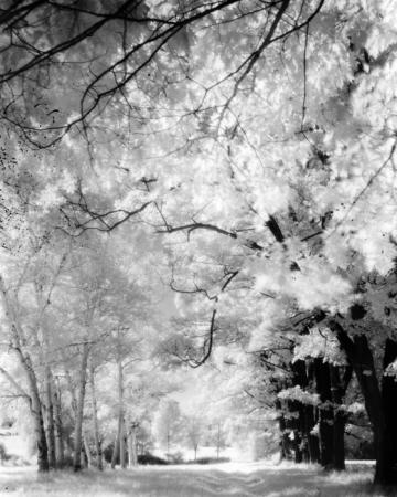 minerva_deak_f_c19-083