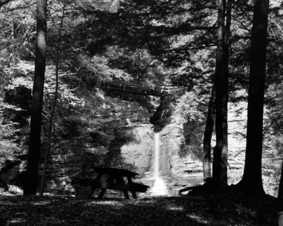 minerva_deak_f_c19-087