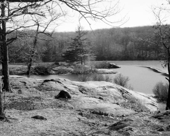 minerva_deak_f_c19-088