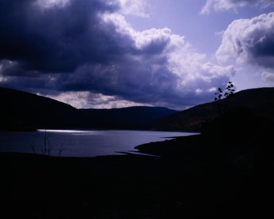 minerva_deak_f_c19-094