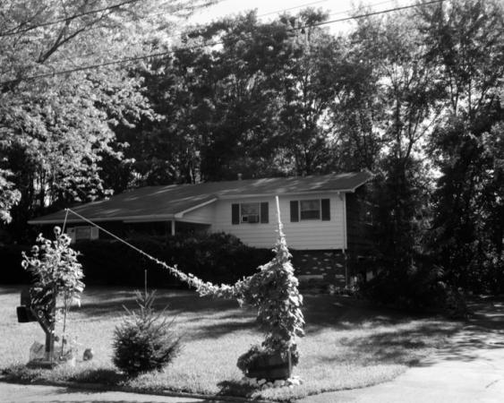 minerva_deak_f_c19-099