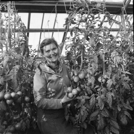 minerva_deak_f_c1_agrar-010