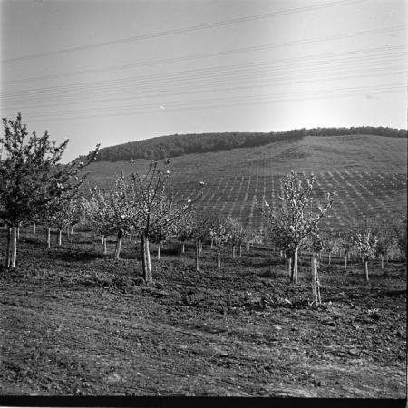 minerva_deak_f_c1_agrar-014