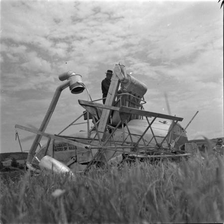 minerva_deak_f_c1_agrar-026