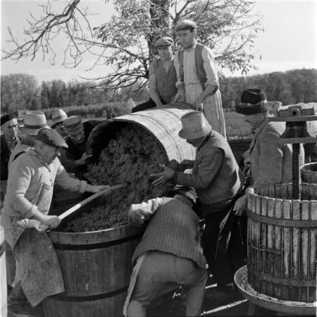 minerva_deak_f_c1_agrar-037