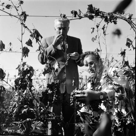 minerva_deak_f_c1_agrar-065