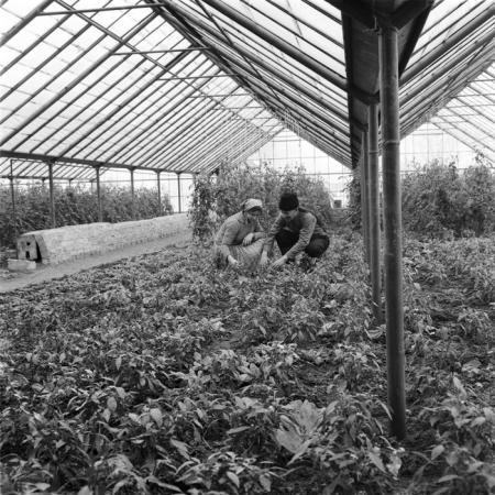 minerva_deak_f_c1_agrar-067