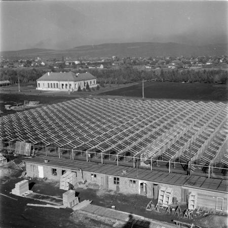 minerva_deak_f_c1_agrar-074