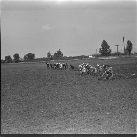 minerva_deak_f_c1_agrar-085