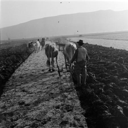 minerva_deak_f_c1_agrar-104