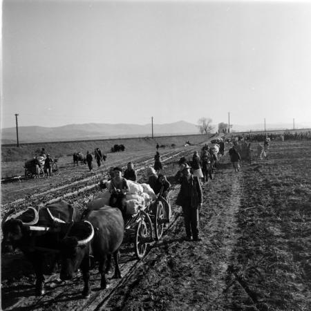 minerva_deak_f_c1_agrar-142