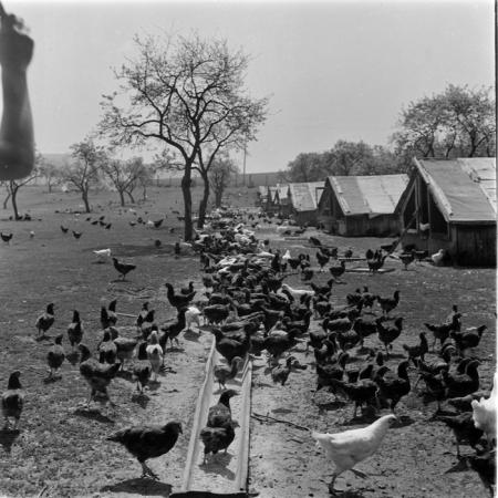 minerva_deak_f_c1_agrar-149