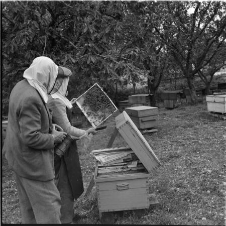 minerva_deak_f_c1_agrar-154