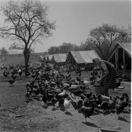 minerva_deak_f_c1_agrar-163