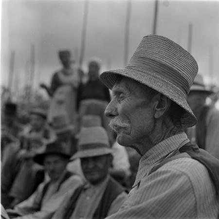 minerva_deak_f_c1_agrar-169