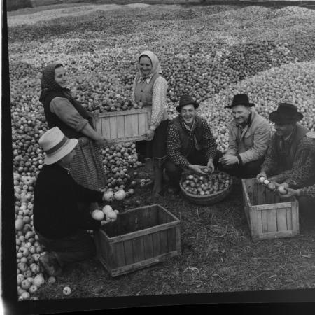 minerva_deak_f_c1_agrar-188