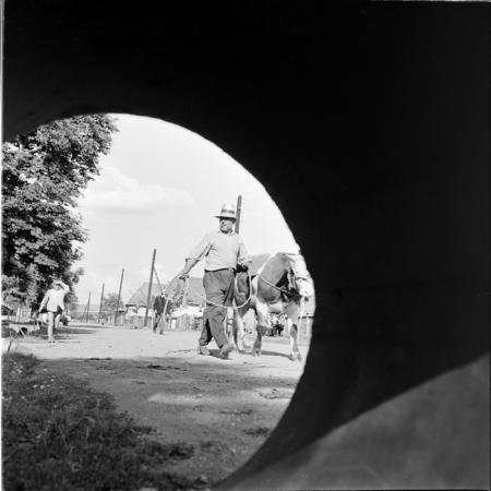 minerva_deak_f_c1_agrar-190