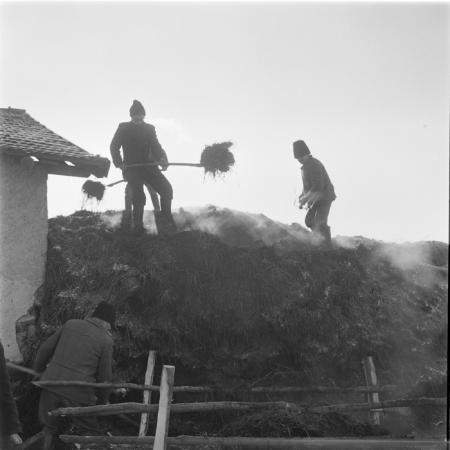 minerva_deak_f_c1_agrar-192