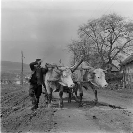 minerva_deak_f_c1_agrar-206