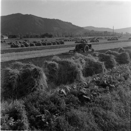 minerva_deak_f_c1_agrar-229