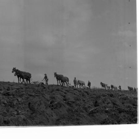 minerva_deak_f_c1_agrar-244