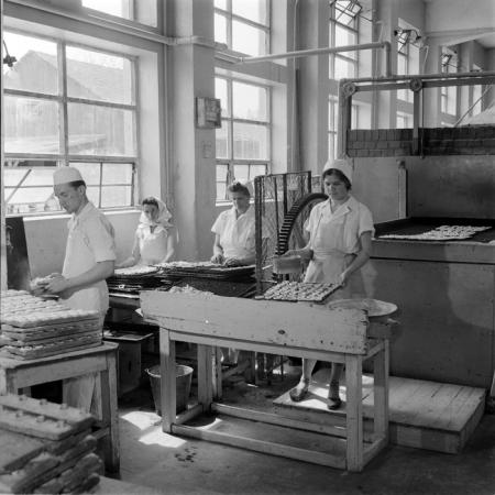 minerva_deak_f_c1_industrie-029