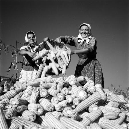 minerva_deak_f_c1_industrie-131