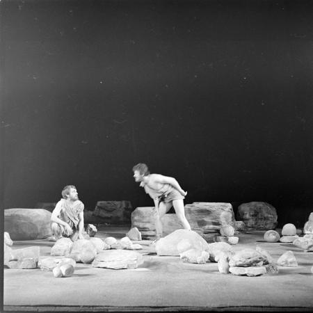 minerva_deak_f_c1_kolozsvari magyar szinhaz_1-7-066