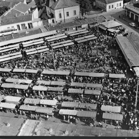 minerva_deak_f_c1_piata cluj-011