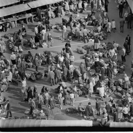 minerva_deak_f_c1_piata cluj-017