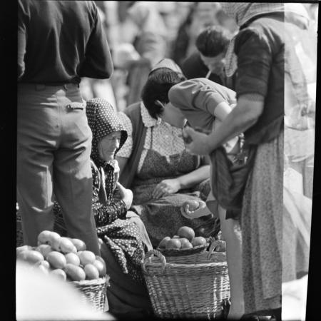 minerva_deak_f_c1_piata cluj-020