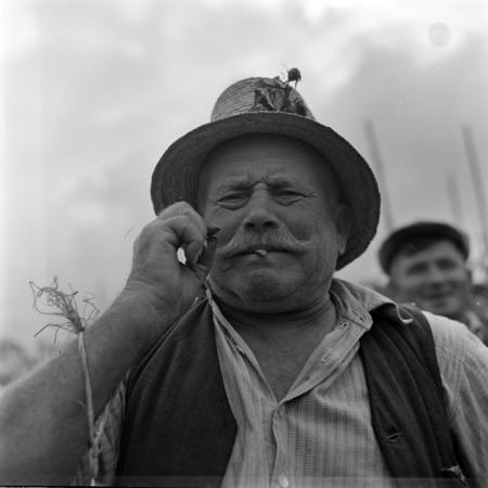 minerva_deak_f_c1_piata cluj-052