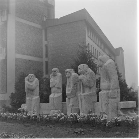 minerva_deak_f_c1_raluca ripou_portrete-050