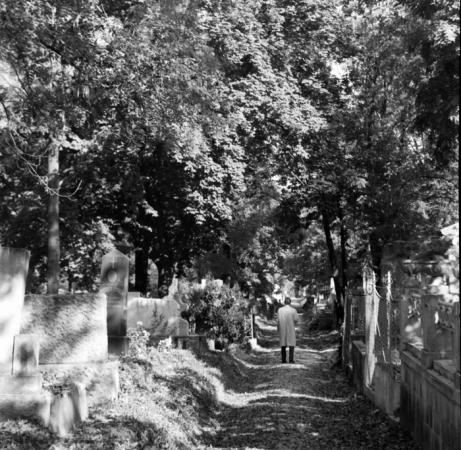 minerva_deak_f_c21_Cluj_spatiul_public_arhitectura-107